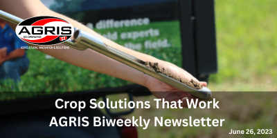 June_26_Newsletter_Title.png
